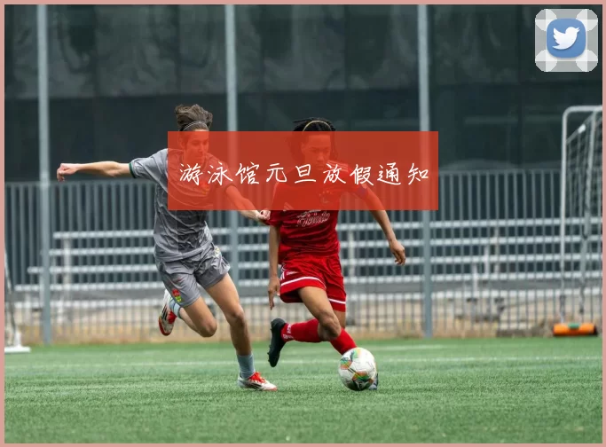 游泳馆元旦放假通知