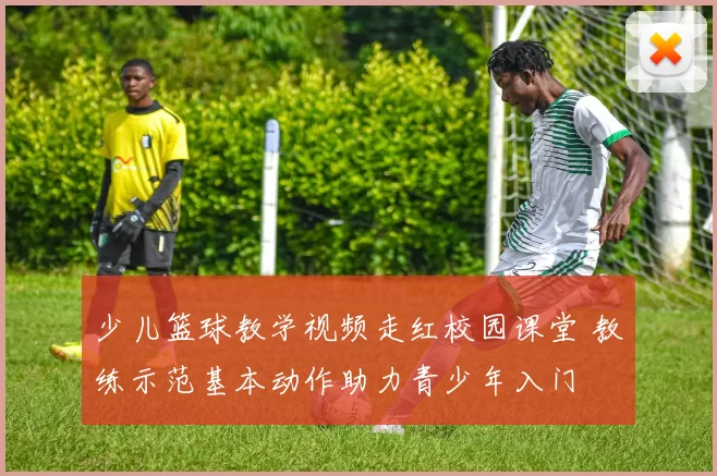 少儿篮球教学视频走红校园课堂 教练示范基本动作助力青少年入门