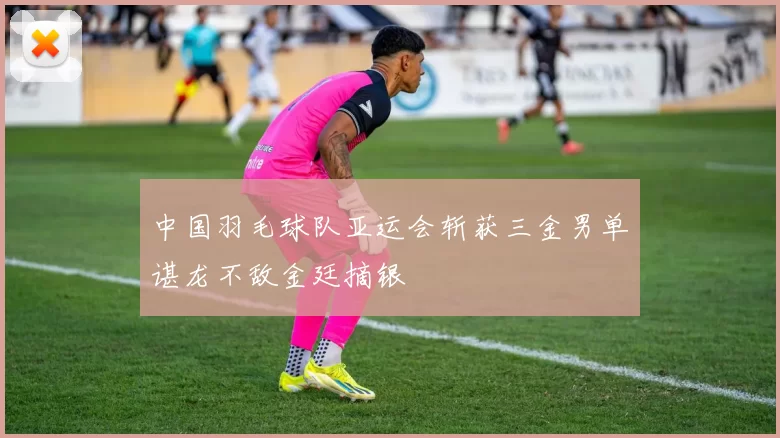 中国羽毛球队亚运会斩获三金男单谌龙不敌金廷摘银