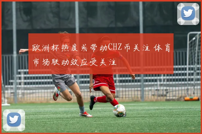 欧洲杯热度或带动CHZ币关注 体育市场联动效应受关注