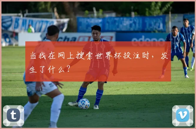 当我在网上搜索世界杯投注时,发生了什么?