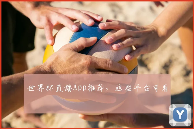 世界杯直播App推荐,这些平台可看