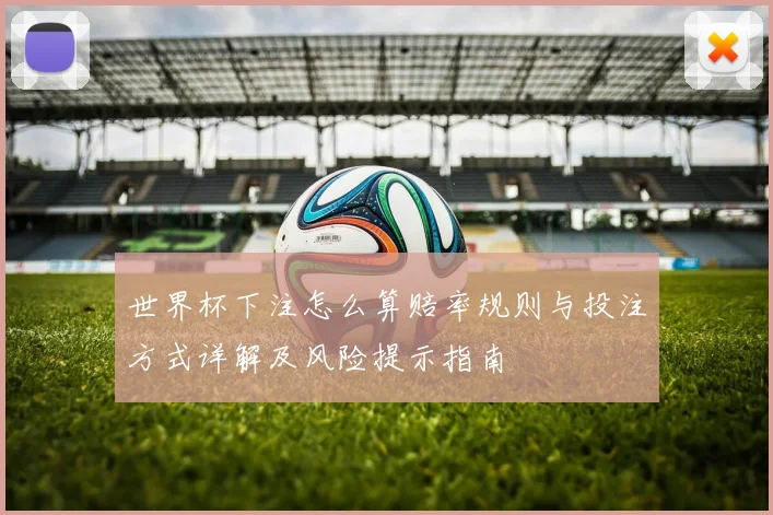 世界杯下注怎么算赔率规则与投注方式详解及风险提示指南