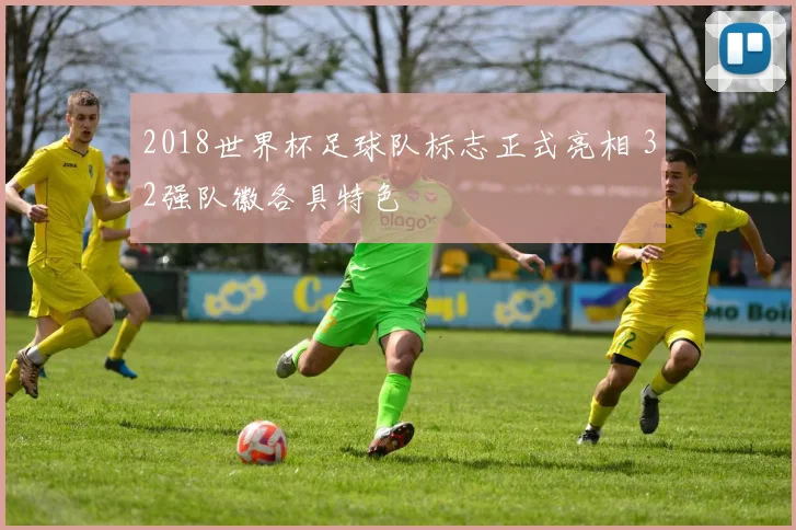 2018世界杯足球队标志正式亮相 32强队徽各具特色